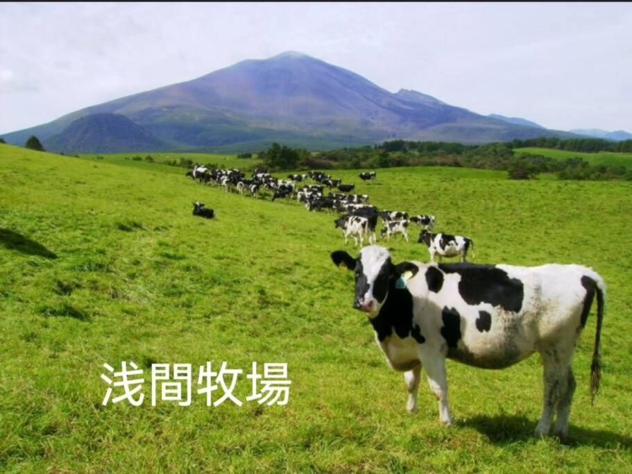 おもちゃ王国と北軽井沢の大自然を満喫できる貸別荘 軽井沢町 エクステリア 写真